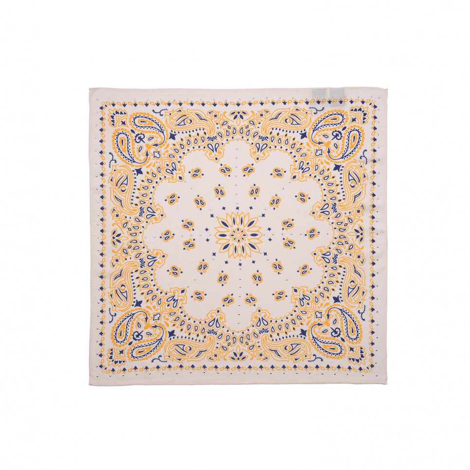 Foulard Paisley
