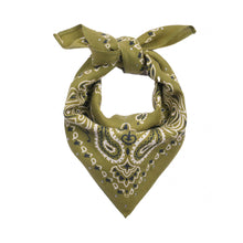 Charger l&#39;image dans la galerie, Foulard Paisley
